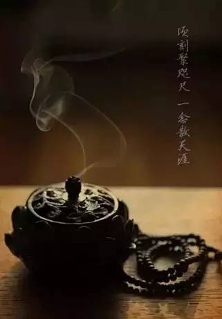 茶从来不说话