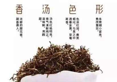 快过年了，如何挑选好茶叶？