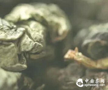 教你怎么泡好一壶乌龙茶