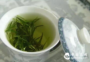 四要素泡好一杯茶