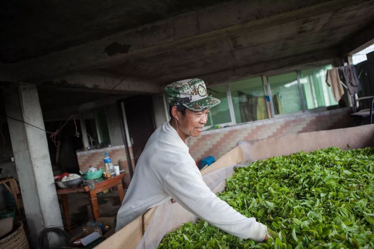 风雨十载铸百年品牌梦想：陈升号的热血青春和追梦赤子心