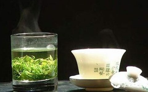 茶叶的审评术语小结，茶人必备知识