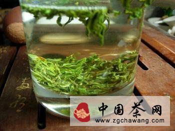 松萝茶属于什么茶