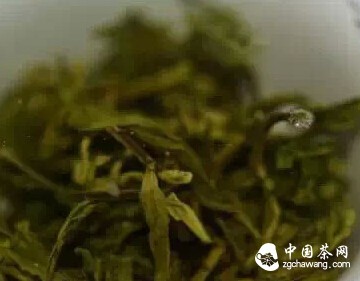 茶文化复兴五个进程