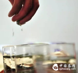 茶界新手，标准投茶量你知道吗？