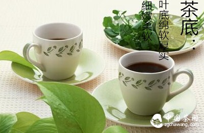 铁观音好茶标准：“五招识正韵”