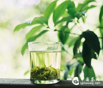 冷水泡茶，这么酷炫的泡茶方法你造吗？