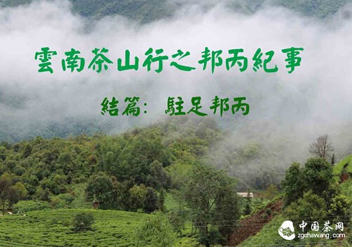 邦丙坐标：与邦崴古茶山隔江对望