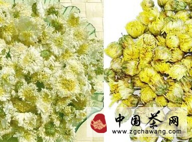 两方法巧妙鉴别贡菊与杭白菊