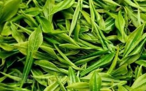 春茶陷阱多，买茶需谨慎！