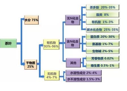 今天，你喝茶了吗？