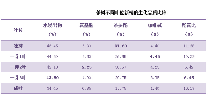 春茶可不能喝得糊里糊涂 | 春茶季，聊春茶