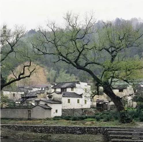 2017年1-4月份安徽各地市空气质量排名出炉！快来黄山，洗肺、醉氧、喝好茶！