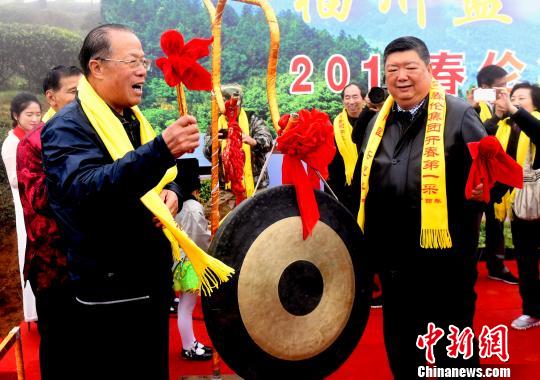 福州茉莉花茶“开春第一采” 闽茶香飘“一带一路”