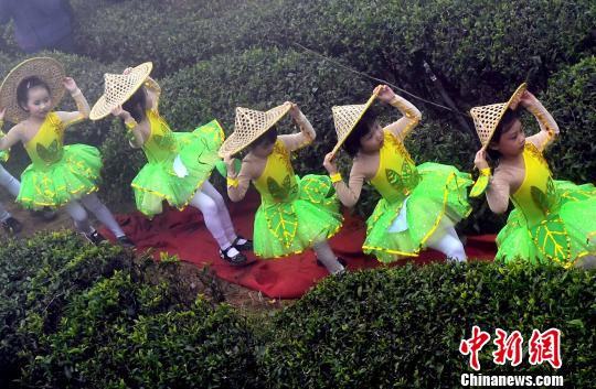 福州茉莉花茶“开春第一采” 闽茶香飘“一带一路”