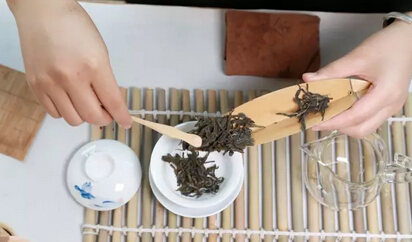 盖碗泡茶时，出汤快慢影响有多大？