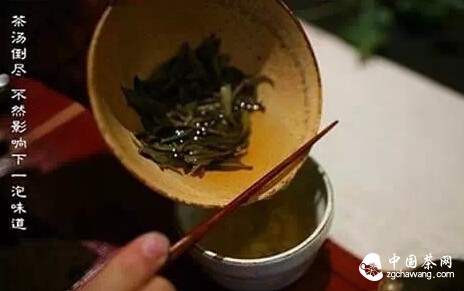 这种新泡茶法，你绝对没试过！