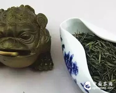 中华茶史 | 古代产茶地，古今大对比