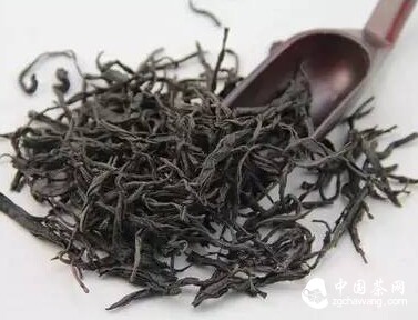 《茶叶战争》：一杯茶，看王朝的衰败