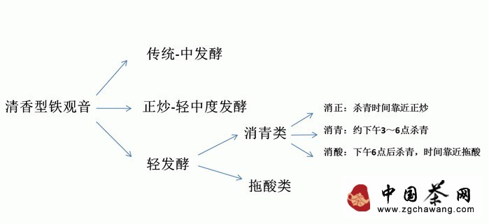 铁观音：拖酸型品质区分挑选