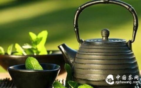 谈茶论水－普洱茶与水的亲密关系