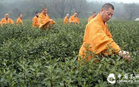 茶文化 | 茶叶与农禅