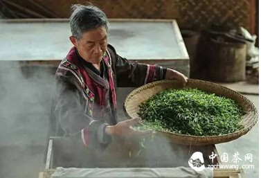 中国唯一幸存的蒸青绿茶