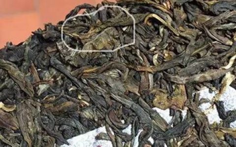 茶饼怎么会有黄色的叶片？