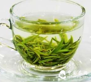 泡茶选对器：5类茶的冲泡用具挑选