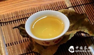 【节气之味】秋天的味道——秋茶、白露茶