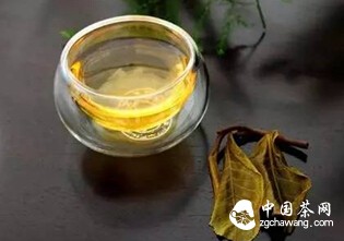 【节气之味】秋天的味道——秋茶、白露茶