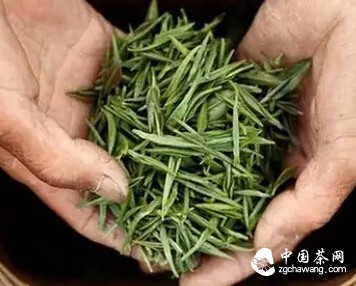 如何根据形状鉴别茶呢？