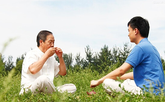 一年之计在于春，春天喝茶好处多多