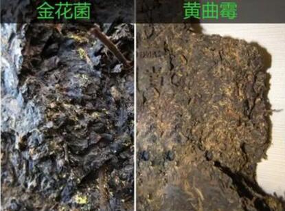 茶叶放得太久？三种方法让你泡出原来的味道