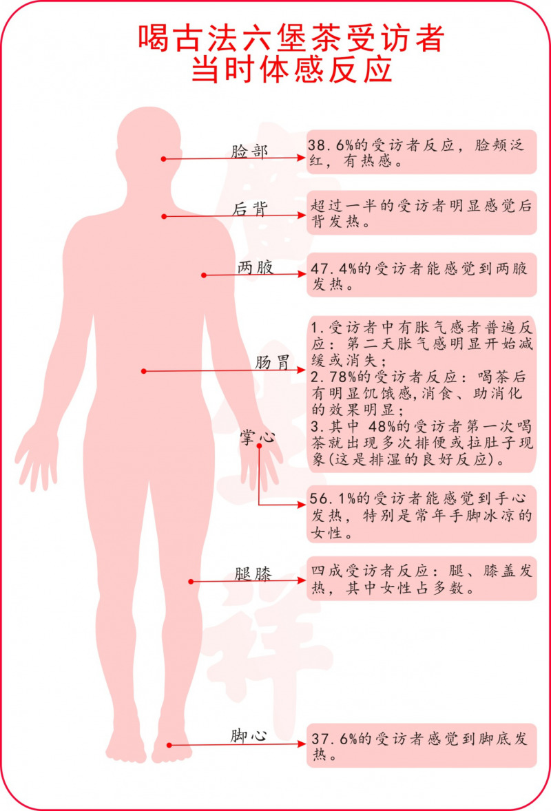 四味居士•说六堡 | 喝古法六堡茶的身体反应