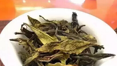 普洱茶中的“黄片”是什么？