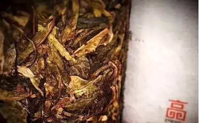 普洱茶中的“黄片”是什么？