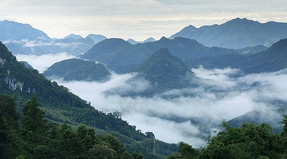 临沧：除了冰岛、昔归，更是世界茶基因库