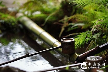 对的时间，对的地点遇见对的茶！品茶绝妙5境