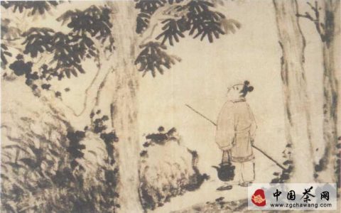 明代龙井荼的发展