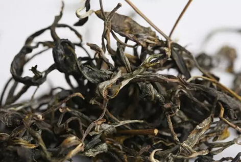 最受欢迎的10大普洱古树茶，你喝过几个？