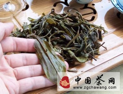 如何从茶底判断茶料