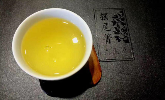 摆尾箐普洱古茶树，为什么值得你认养？