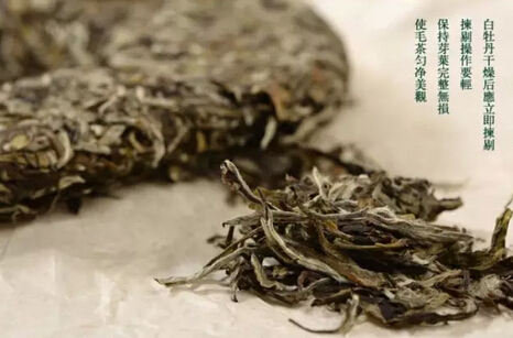 "绿茶" | "白茶"傻傻分不清楚？