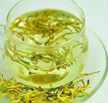 金银花茶的功效与作用