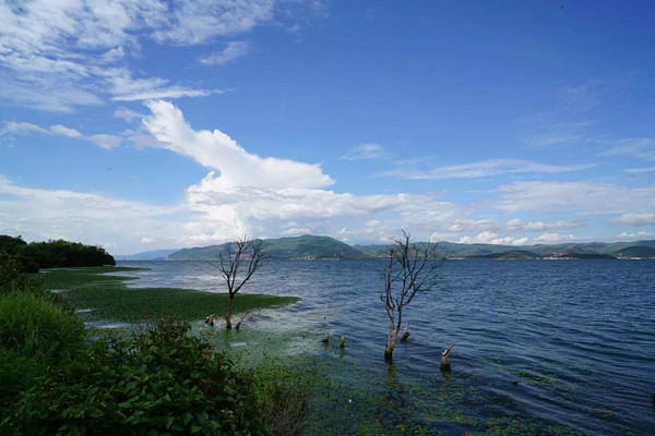 一言不合就旅行：“老司机”教你茶人专属的藏地玩法！