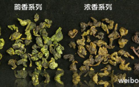 如何泡好安溪和木栅铁观音