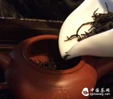 不同茶的泡饮秘笈