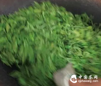 杀青——是普洱茶后期转化的关键