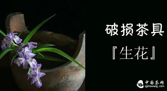 破损茶具亦能生花